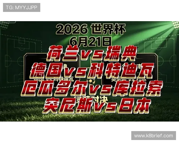 2026年世界杯荷兰VS日本比赛现场观赛须知事项及安全防护建议